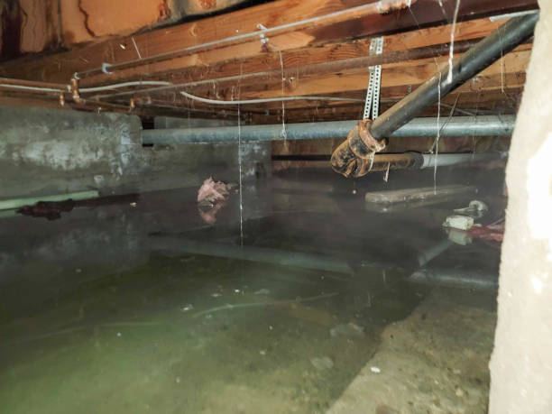 Best Emergency water damage restoration  in Jackpot, NV