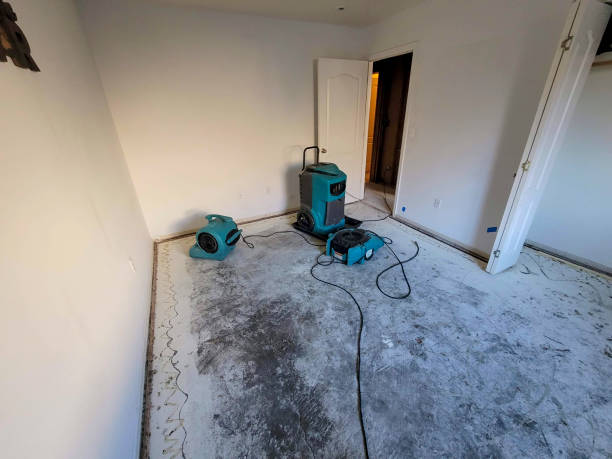 Carpet water damage restoration in NV