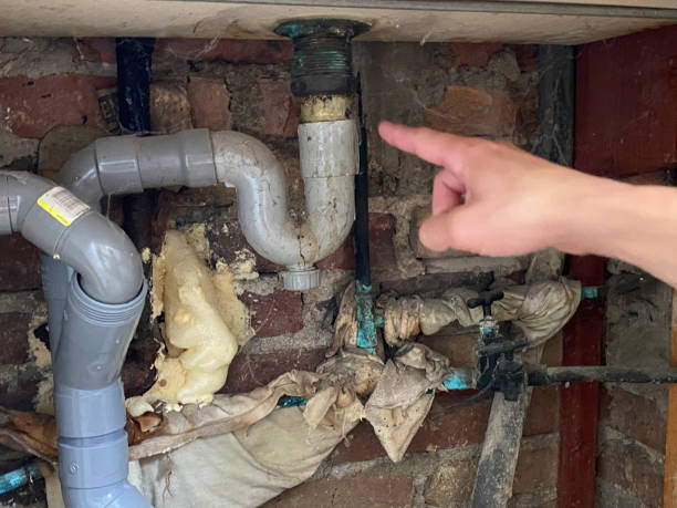 Sewage cleanup and water damage restoration in NV