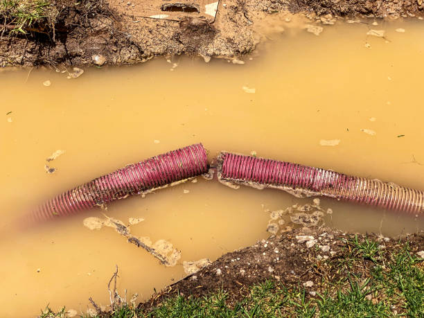 Water damage restoration mold remediation in NV