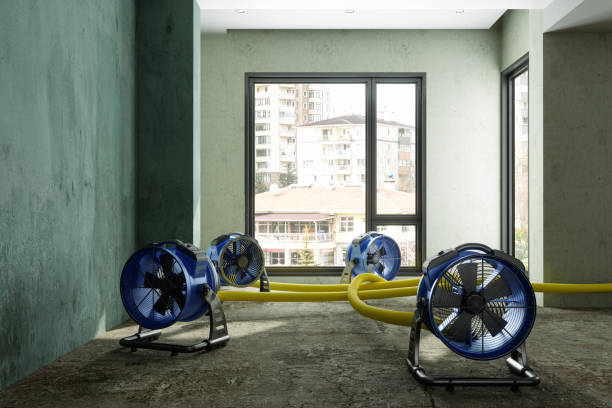 Best Commercial water damage restoration  in Jackpot, NV