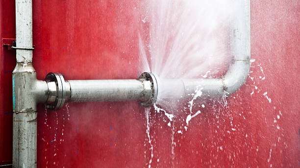 Best Water damage contractors near me  in Jackpot, NV